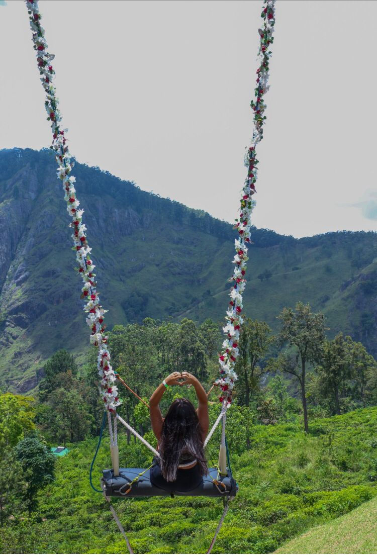 Mega Zip Line, ATV, Ella Swing