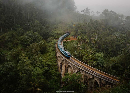 Sri Lanka (51)