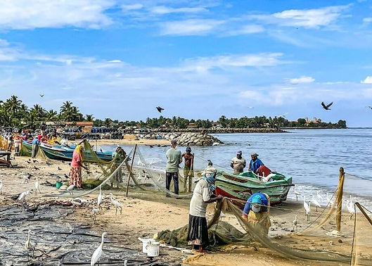 negombo