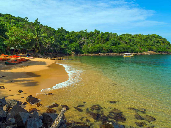 jungle beach