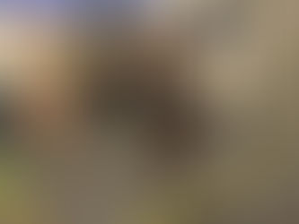 Wednesday, September 14th, 2022 WOD