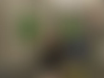 Wednesday, August 9th, 2023 WOD