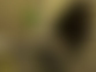 Friday, June 24th, 2022 WOD