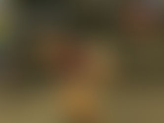 Wednesday, October 12th, 2022 WOD