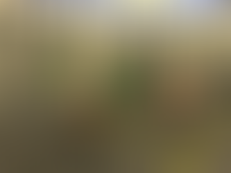 Wednesday, August 30th, 2023 WOD