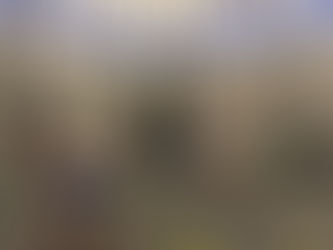 Monday, January 22nd, 2024 WOD