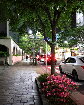 IMG_3127.png
