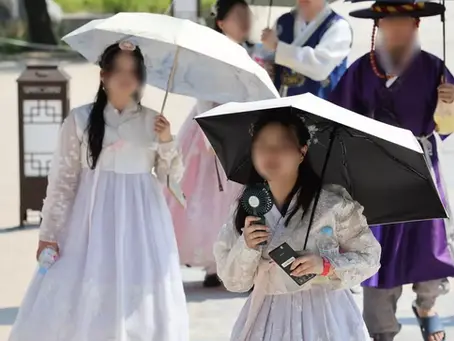 [🇯🇵] 韓国では当たり前だった“日傘”、猛暑の米国で人気急上昇