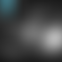GALLERY | Calva Louise & Bloodywood by Anine Desire