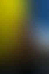 9Million supporting Ethel Cain at Olympia in Paris - Photo by Jonathan Ferreira, 2025