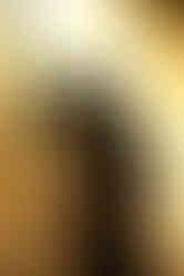 The Limiñanas by Otto Mendelsson - Berlin 2025