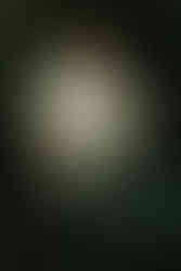 Bush by Nicole Sassi - Berlin, 2025