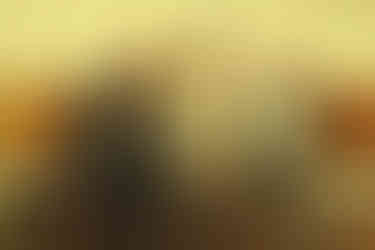 The Trusted by Jordan White