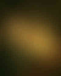 The Wombats by Carly Villiers - Brisbane, 2025