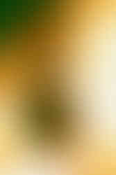 Susannah Joffe at Astra in Berlin – Photos by Franz Naumann, 2025