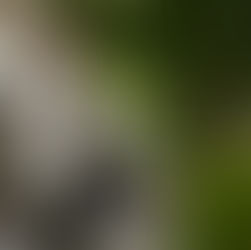 牙驛通送牙醫到你家!全台第1個支援系統,讓居家牙醫不再是苦行僧