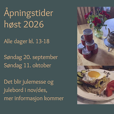 Skjermbilde 2026-08-31 160314_edited.jpg