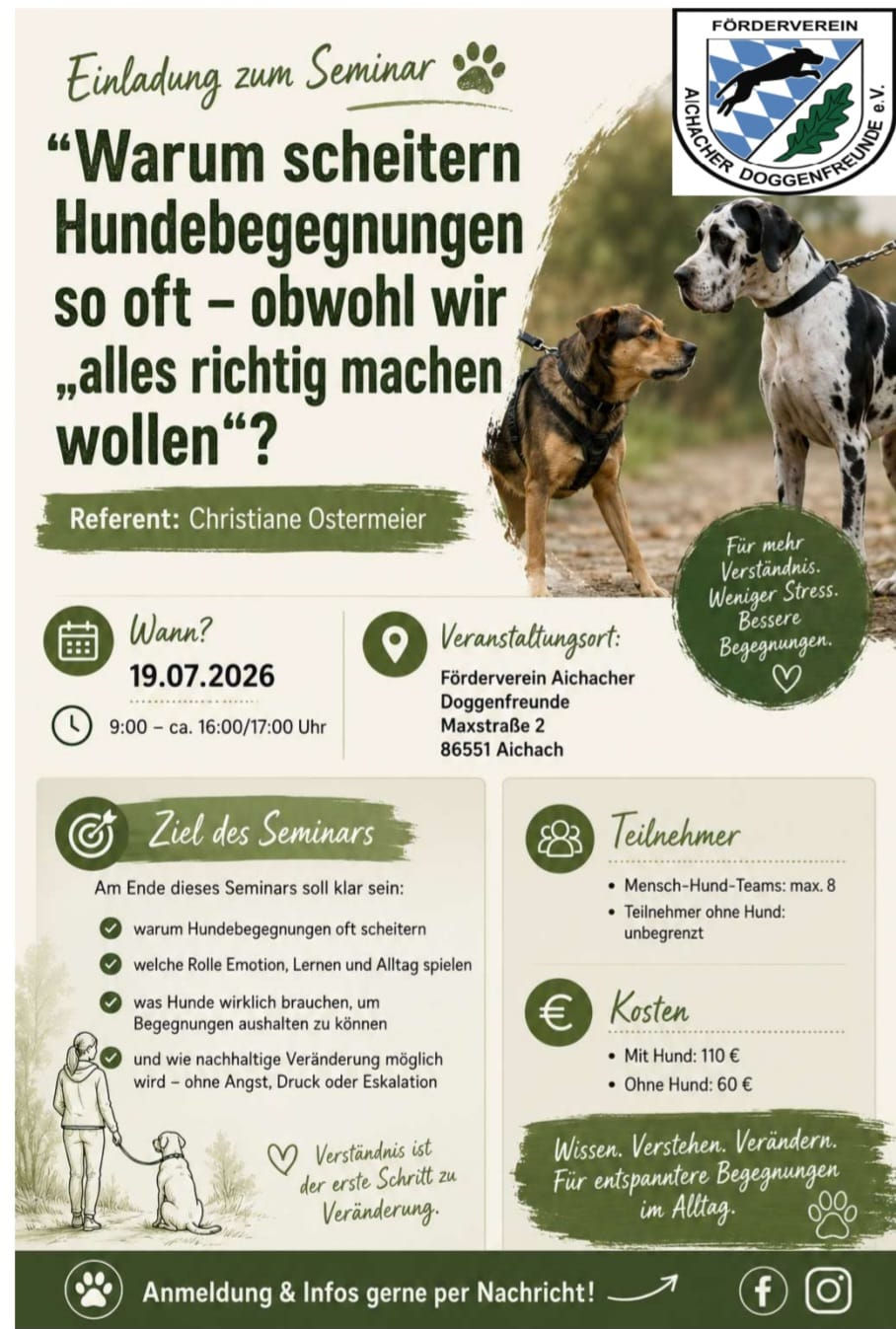 Warum scheitern Hundebegegnungen so oft – obwohl wir „alles richtig machen wollen“?