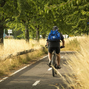 ¿Cuál es la mejor hora del día para hacer ejercicio en bici?
