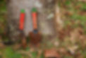 colored-used-small-garden-shovels-mud-dirt-gardening (1) (1).jpg