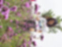 woman-standing-purple-flowering-plants (1).jpg