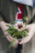 hand-holding-flowerpot (1).jpg