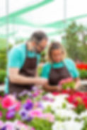serious-gardeners-working-hothouse-checking-flowers (1).jpg