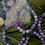 Thumbnail: Anti Anxiety Lepidolite Bracelet