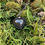 Thumbnail: Prosperity Pyrite Heart Necklace