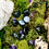 Thumbnail: Tumbled Hematite Stones