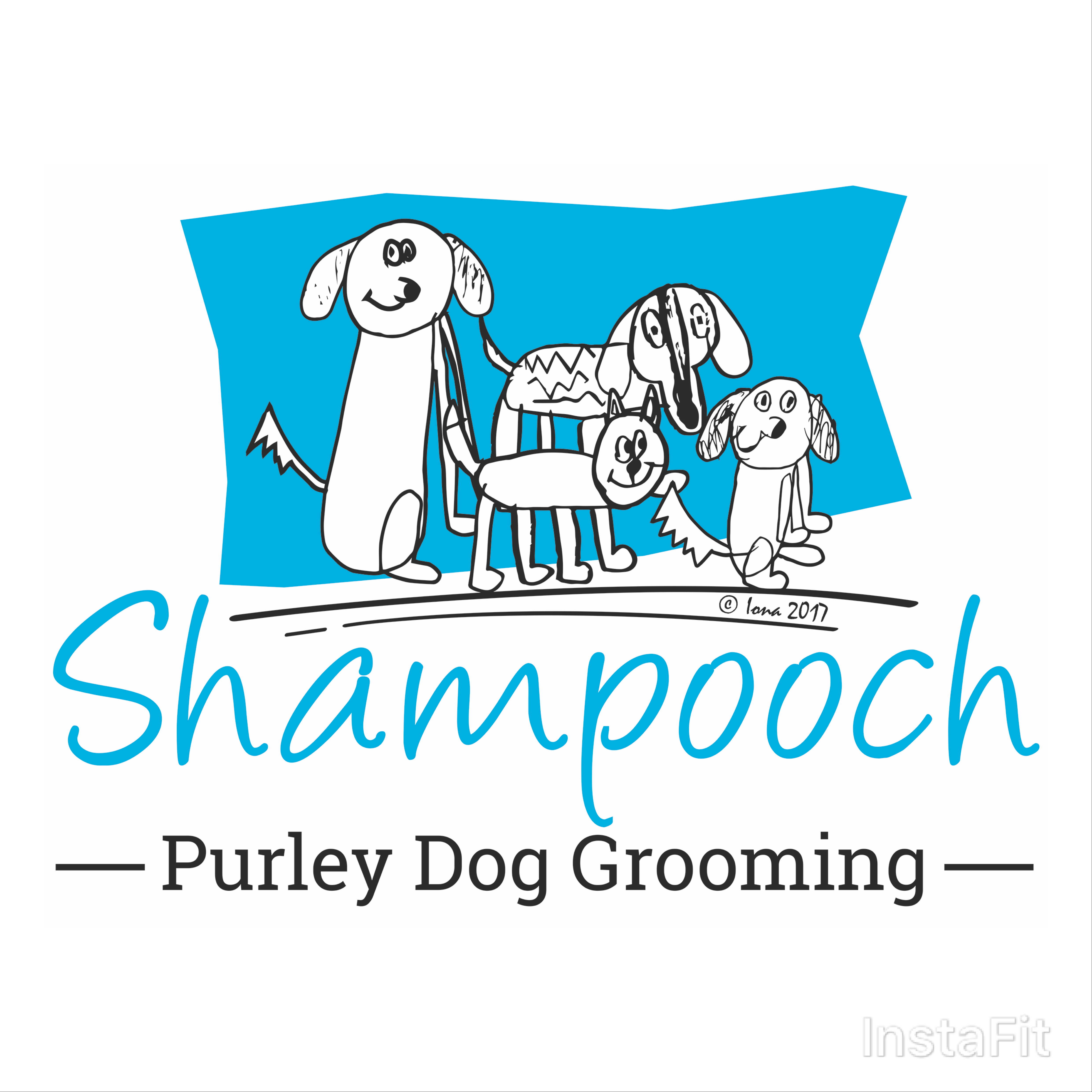 Dog Grooming Shampooch England