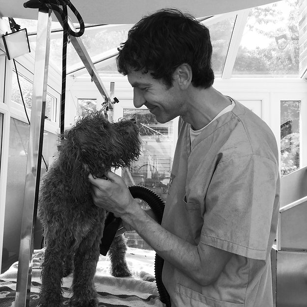 dog groomer