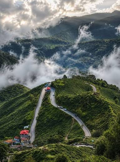 Winding mountain roads and lush hills in Darjeeling tour packages.