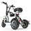 Thumbnail: Disability Dual motor 3 wheel electric folding bike electric tricycle