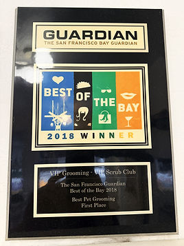 Lancy Woo's 2018 Best Pet Grooming Award