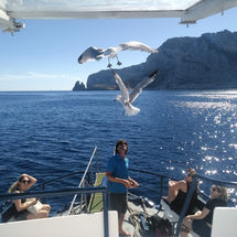 Dos gaviotas sobrevolando barco mientras comen