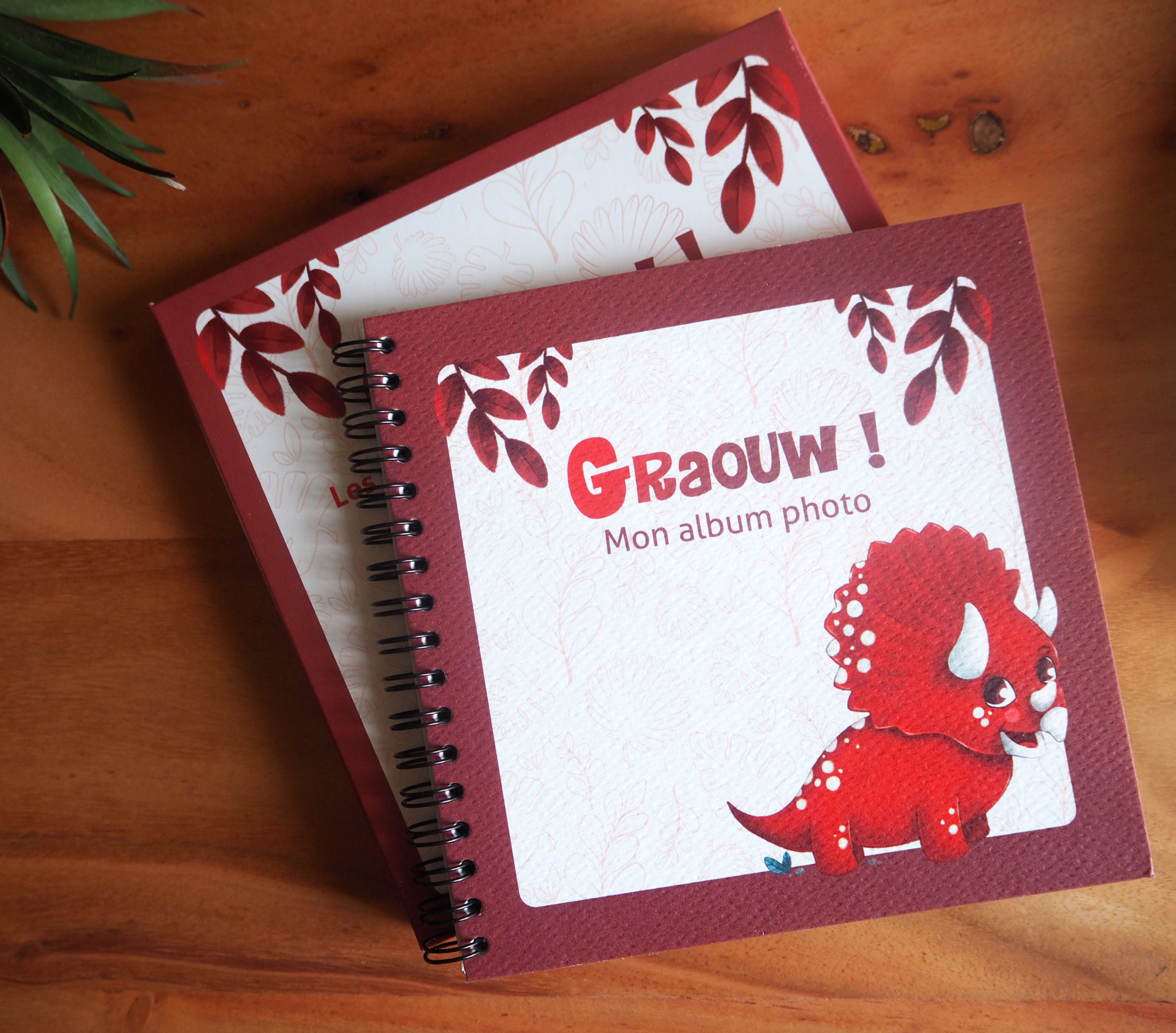 Le coffret "Graouw !"