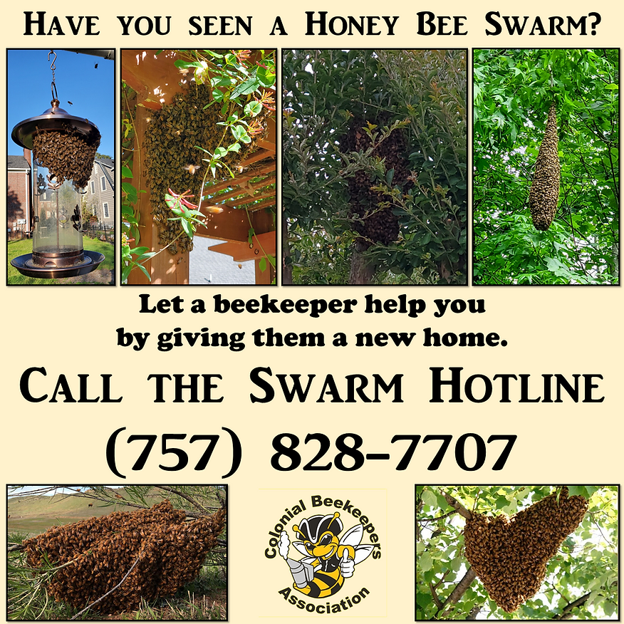 Swarm Advertisement 2.png