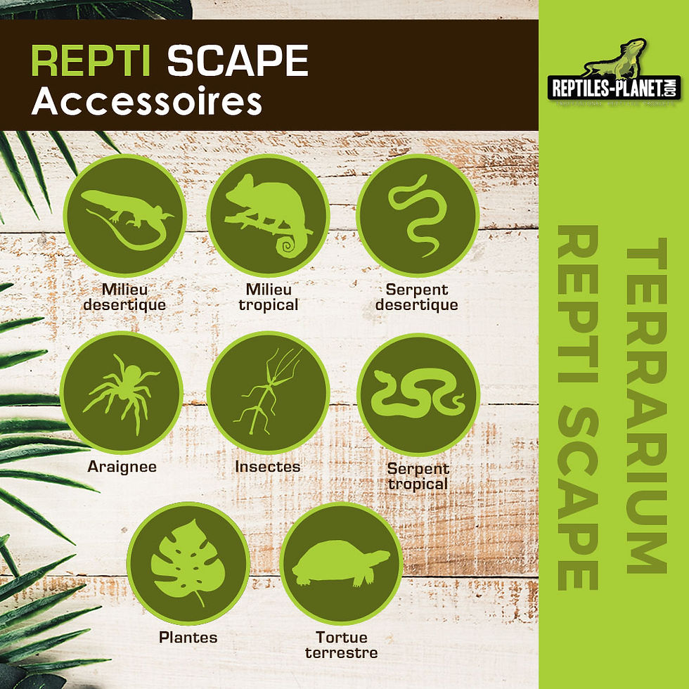 Miniatura: Repti Scape - Patas de apilamiento x4
