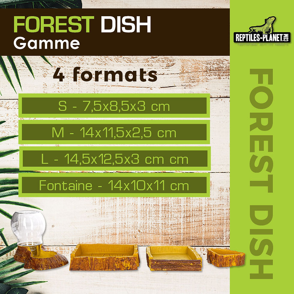 Miniatura: Forest Dish - Ciotola o Abbeveratoio per Rettili - 14x11,5x2,5 cm
