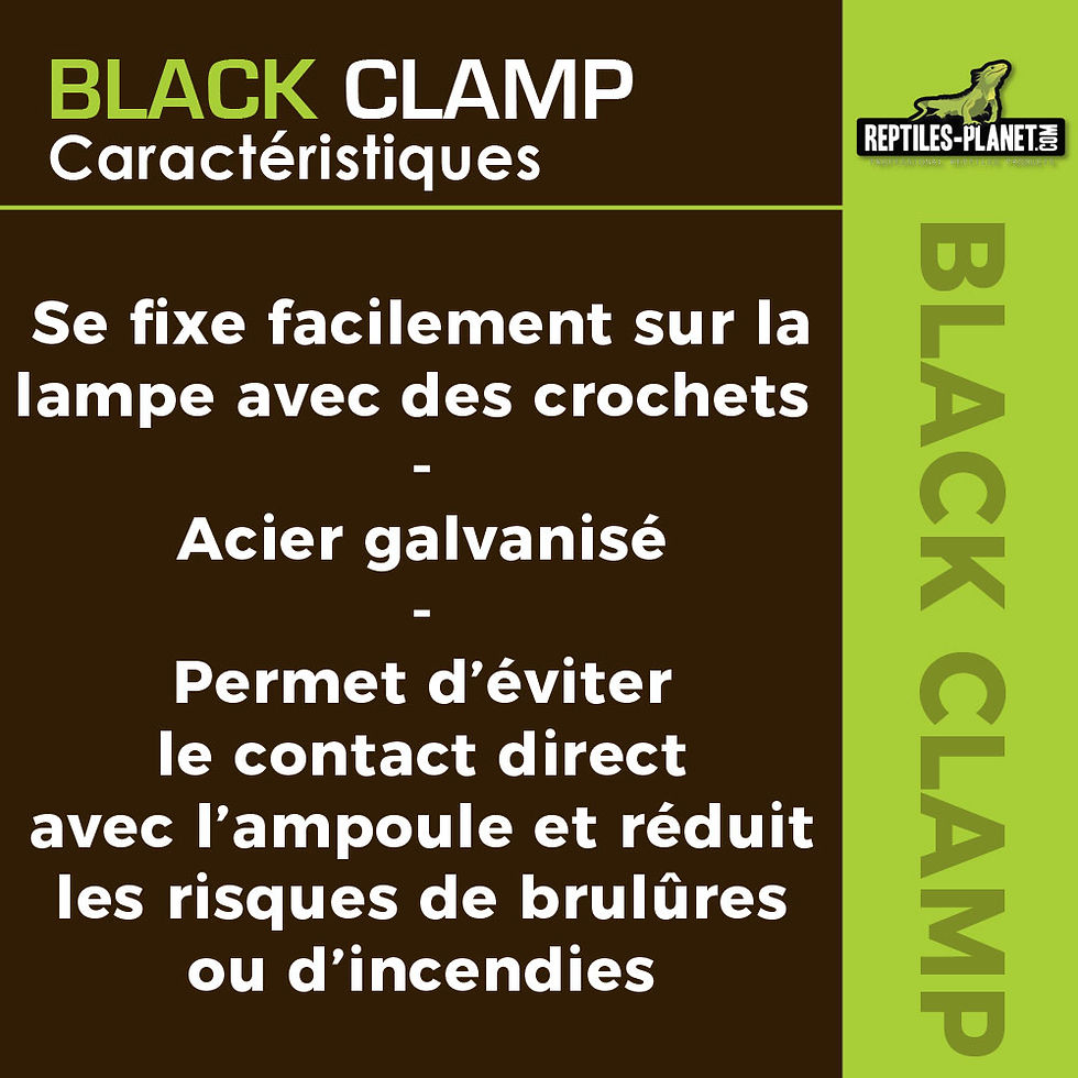 Thumbnail: Grille de Protection pour Support d'Ampoule Black Clamp 14