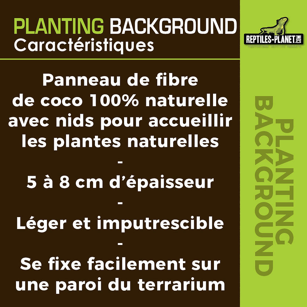 Miniatura: Planting Background - Decorazione in Fibra di Cocco - 40x40 cm
