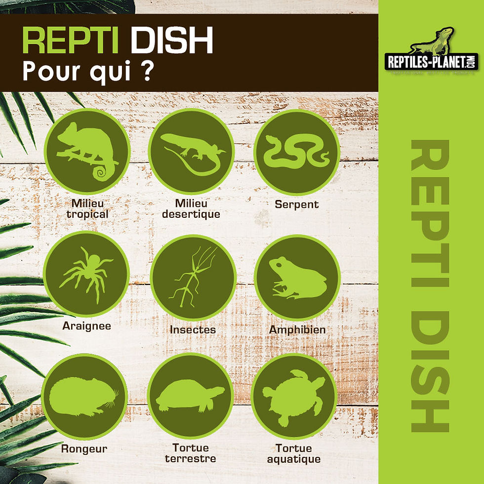 Miniaturbild: Repti Dish Corner XXL - Ecknapf - 24x22x10 cm

