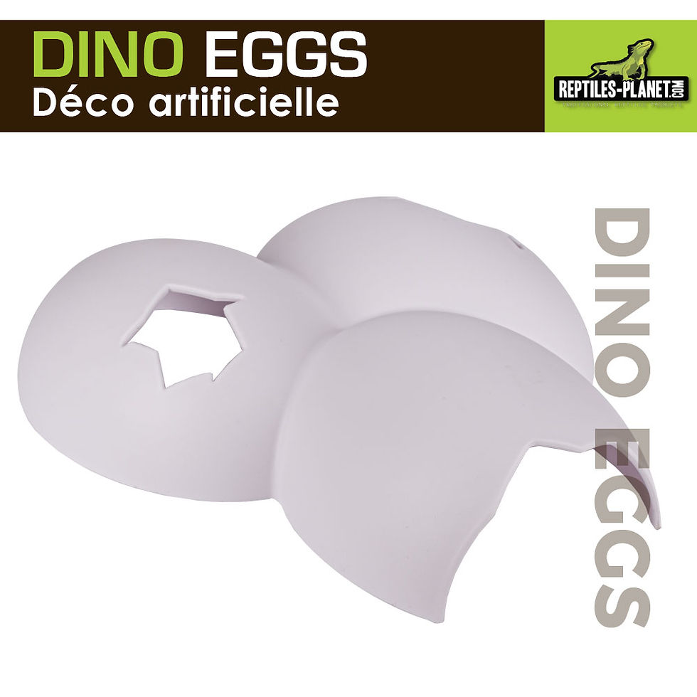 Thumbnail: Dino Eggs - Schuilplaats in de Vorm van Dinosaurus­eieren - 20x16x4,7 cm
