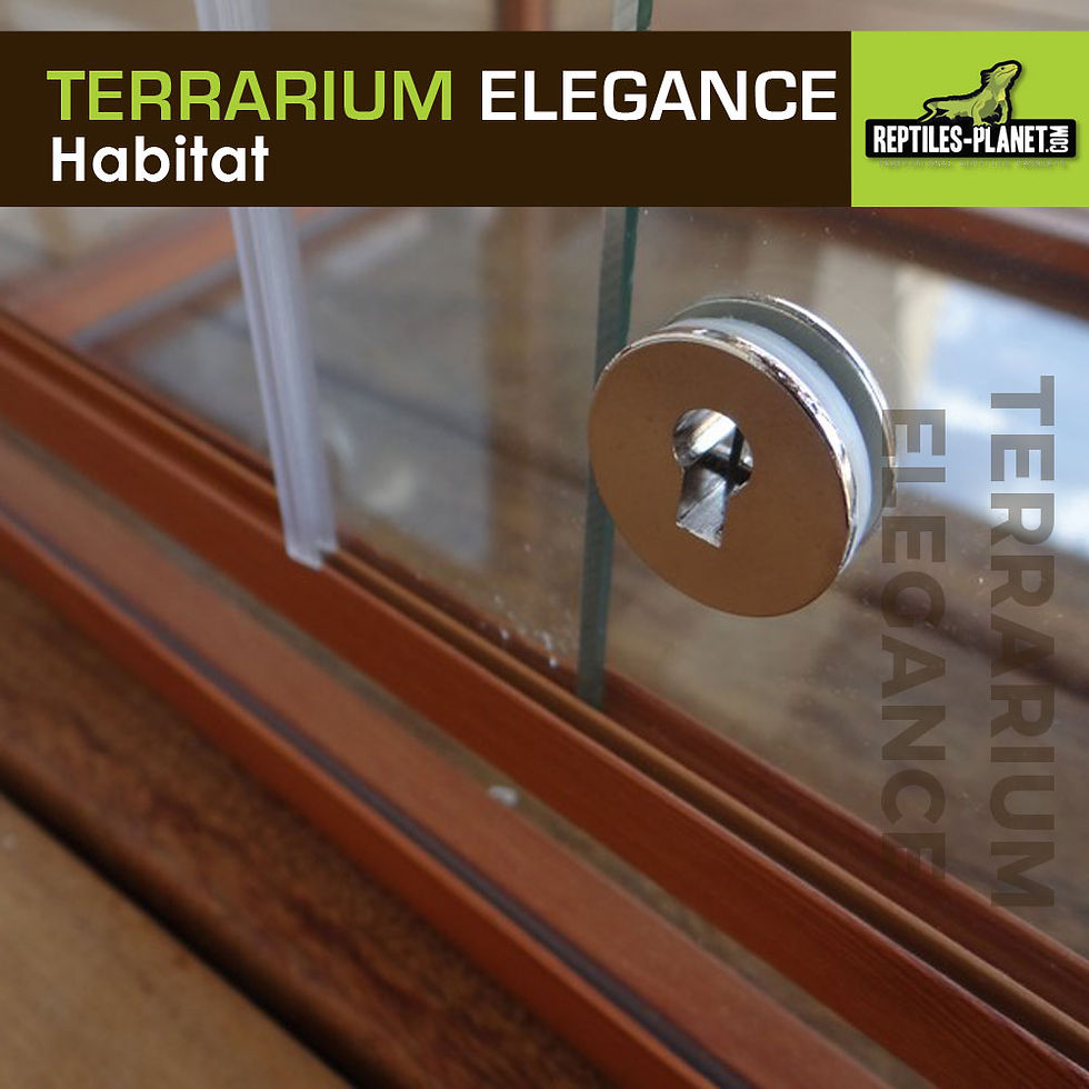 Miniaturbild: Terrarium Aluminium Elegance - Holz - 100x45x50 cm
