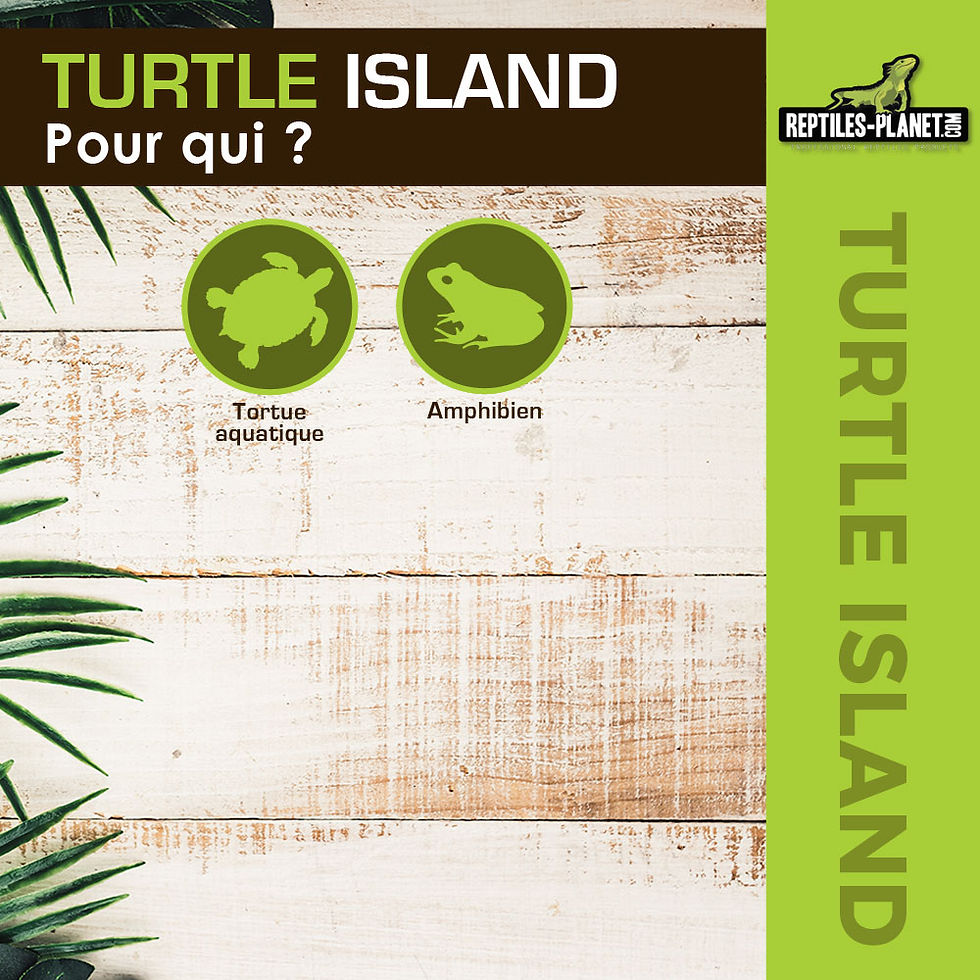 Thumbnail: Turtle Island - Kunstmatig Eiland voor Waterschildpadden - 35,5x19x4,2 cm
