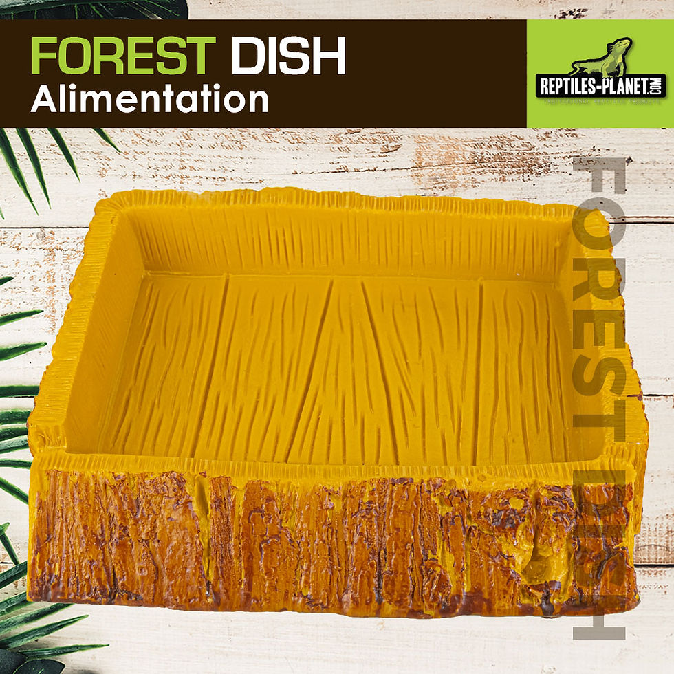 Miniaturbild: Forest Dish - Napf oder Tränke für Reptilien - 14,5x12,5x3 cm

