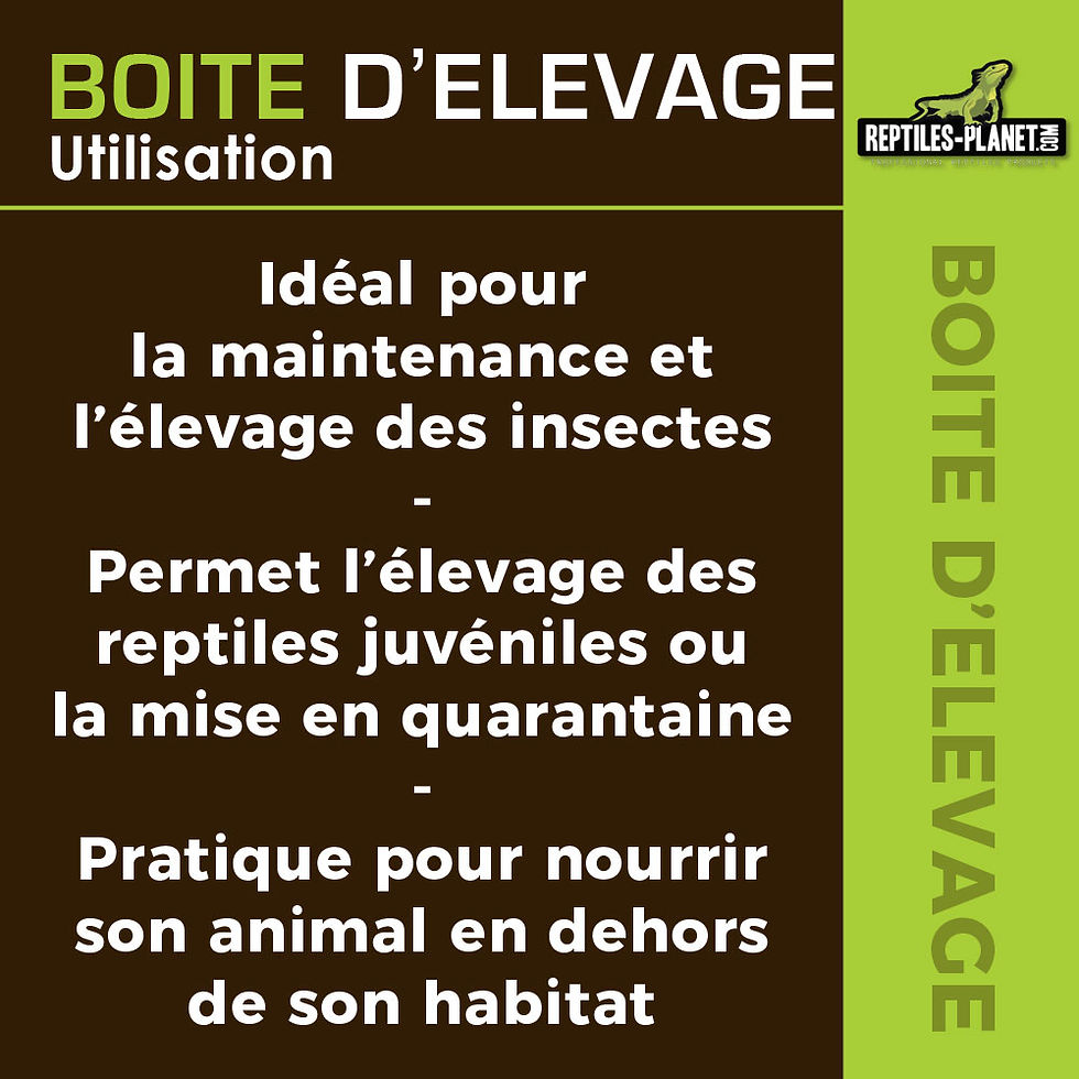 Miniature : Boite d'Elevage pour Repiles et Insectes S - 19x12,5x7,5 cm