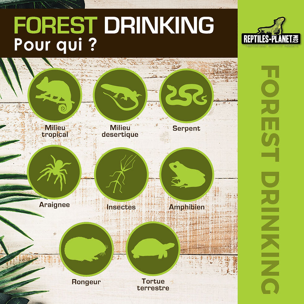 Miniaturbild: Forest Drinking Water Source - Wasserspender für Reptilien - 250 ml
