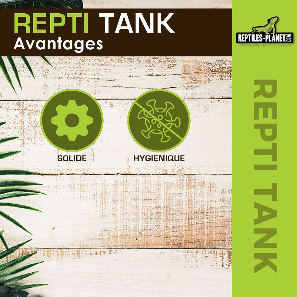 Miniaturbild: Repti Tank XL - Kunststoff-Terrarium mit abnehmbarem Deckel 38,5x24,5x24 cm
